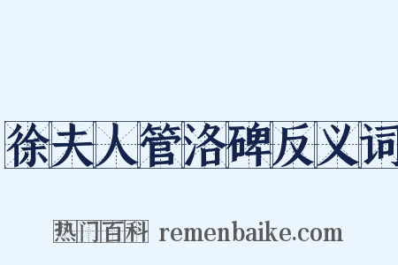 徐夫人管洛碑反义词是什么意思的图片